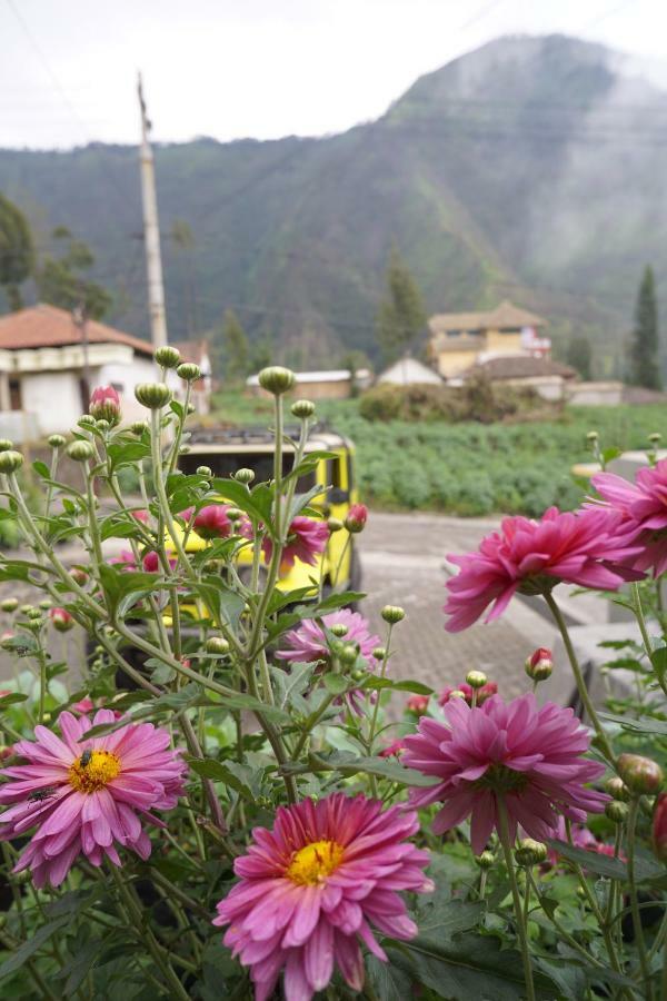 Homestay Lereng Bromo Bagian luar foto