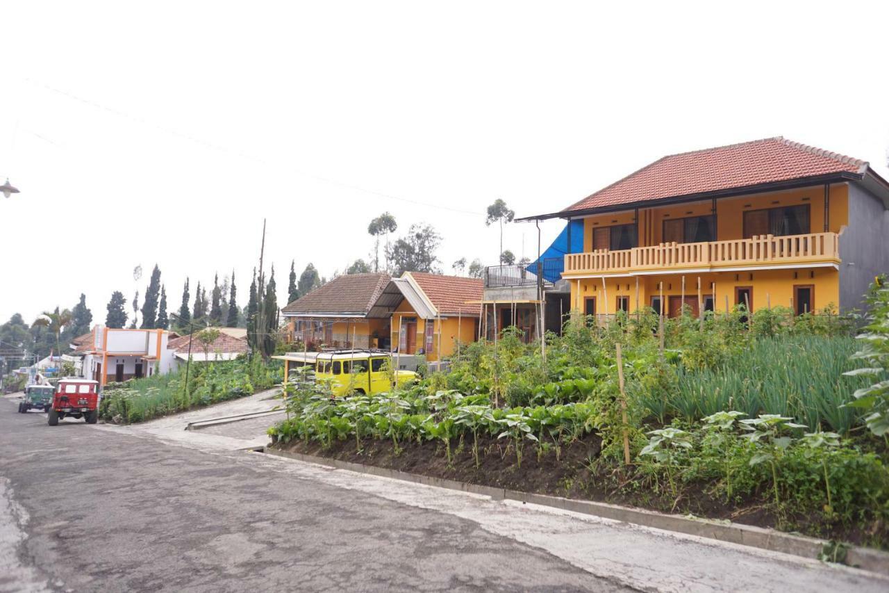 Homestay Lereng Bromo Bagian luar foto