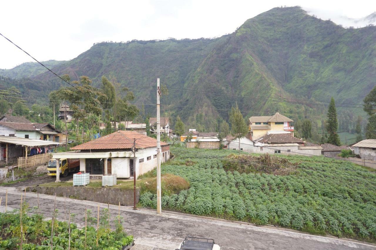 Homestay Lereng Bromo Bagian luar foto