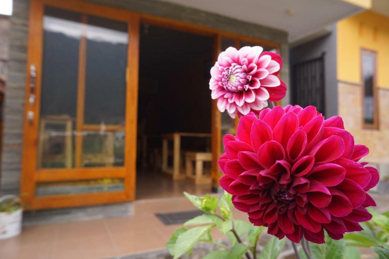 Homestay Lereng Bromo Bagian luar foto